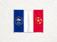 法国国家足球队国旗