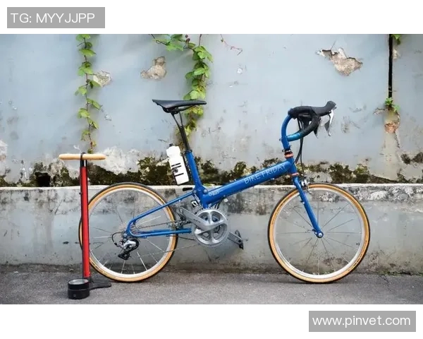 🥵泄露高级机密！小波特：老里画了战术 字母哥否决重新画了！